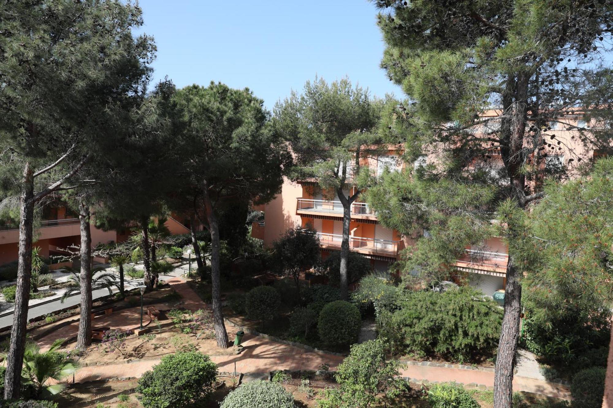 L'Amiraute 150M De La Plage Bormes-les-Mimosas Exteriér fotografie